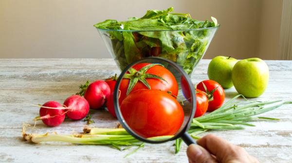 Auf einem Tisch steht eine Schüssel Salat, Radieschen, Frühlingszwiebel, Tomaten und Äpfel. Eine große Lupe wird von einer Hand auf die Tomaten gehalten, wodurch sie im Bild größer erscheinen. 