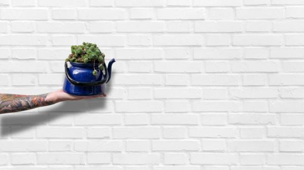 Ausgestrecker Arm mit Hand mit Gieskanne und Pflanze darin