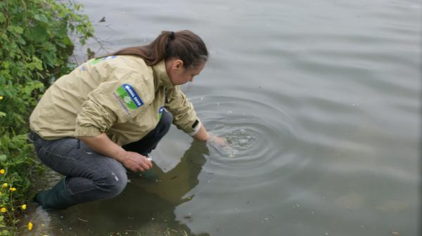 Frau entnimmt Wasserprobe aus Fluss