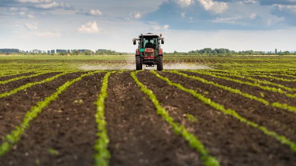 Pestizide werden auf einem Feld versprüht