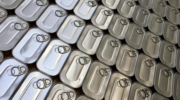 Fischkonserven von oben