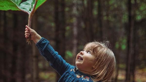 Kleinkind steht im Wald und hält ein großes Blatt in die Luft