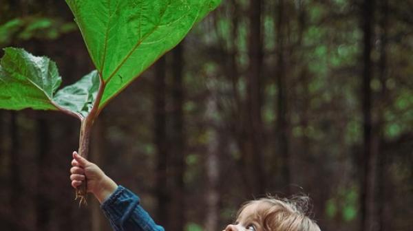 Kleinkind steht im Wald und hält ein großes Blatt in die Luft