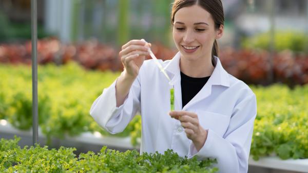 Wissenschaftlerin in Glashaus nimmt Proben von einer Pflanze