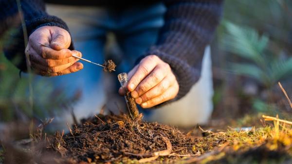 Hände füllen Probe von der Erde in eine Phiole