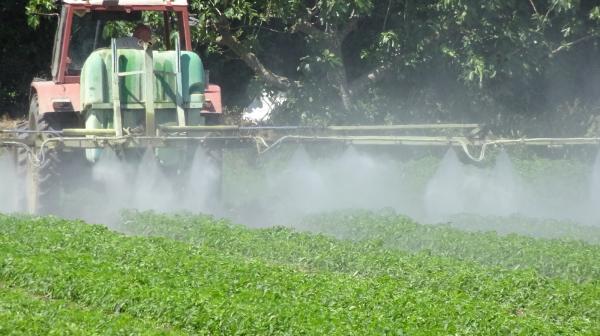 Traktor spritzt auf grünes Feld