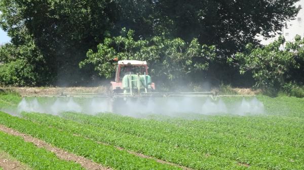 Traktor spritzt auf Feld mit grünen Pflanzen