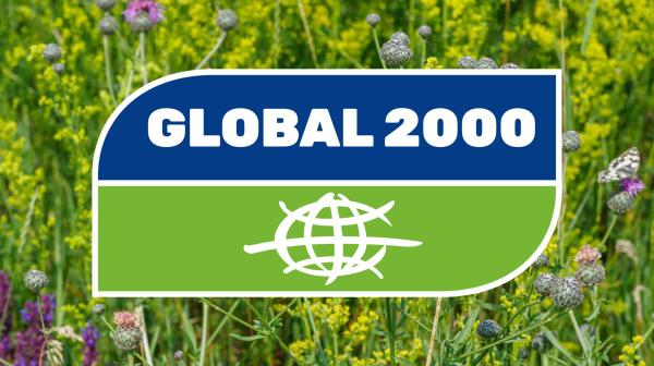 Logo von GLOBAL 2000 vor dem Hintergrund einer Wiese mit Blumen und Schmetterlingen