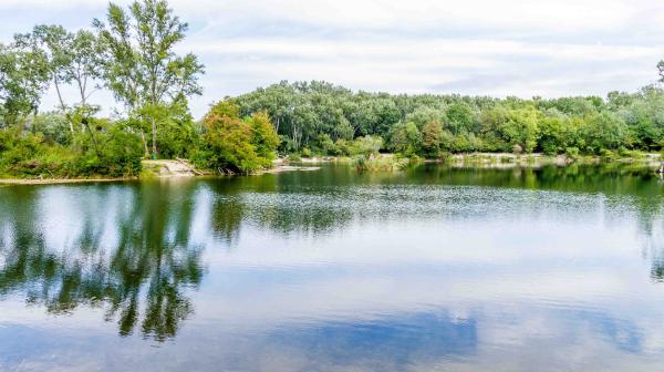 Panoramabild der Lobau mit blauem Wasser, in dem sich die grünen Bäume und Büsche spiegeln