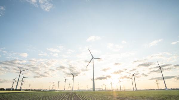 Windräder auf Feld.