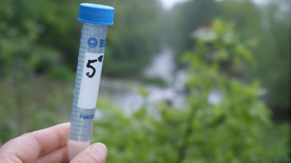 Eine Hand hält ein Proberöhren mit einer Wasserprobe vor eine Naturlandschaft
