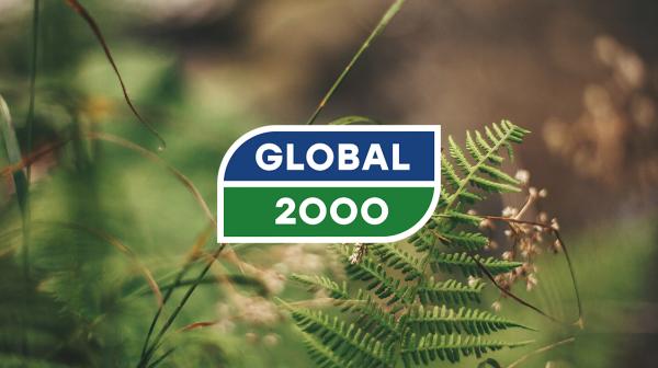 Logo von GLOBAL 2000 vor unscharfem Hintergrund mit Farn und Gräsern