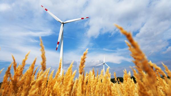 Bild: Thomas Kirschner