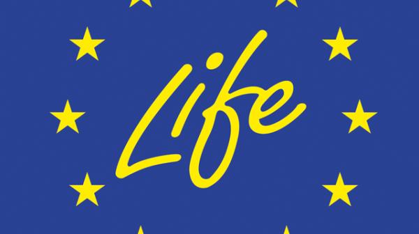 Life Logo