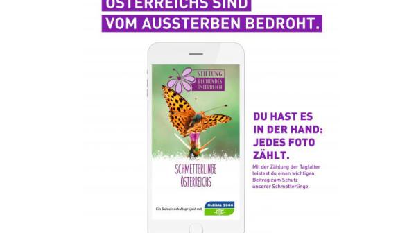 Schmetterlinge Oesterreichs - die Naturschutz App